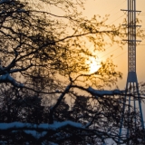 A transmission line pole