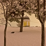 Frosty trees at Kaivopuisto park