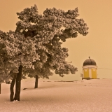 Frosty trees at Kaivopuisto park