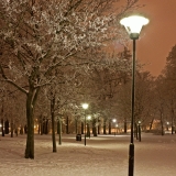 Snowy Kaivopuisto park