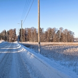 Winter panorama I