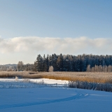 Winter panorama II