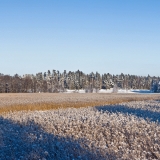 Winter panorama III