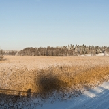 Winter panorama V