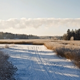 Winter panorama VI