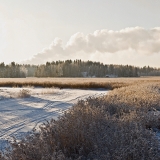 Winter panorama VII