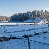 Winter panorama X