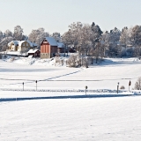 Winter panorama XII