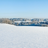 Winter panorama XVI