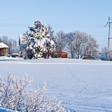 Winter panorama XVII