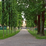 Footpath between Sepp playground and sports field