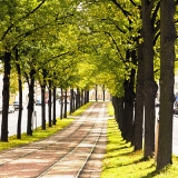 Tram tracks at Mkelnkatu