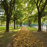 Autumn foliage at Tehtaanpuisto