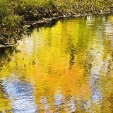 Autumn colors reflect from the surface of a pond