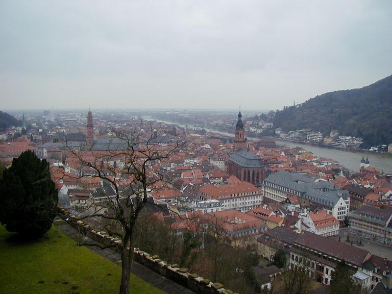 A view from the Heidelberg Castle to the old town