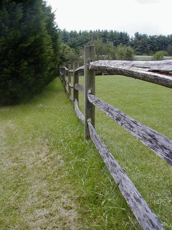 A wooden yard fence