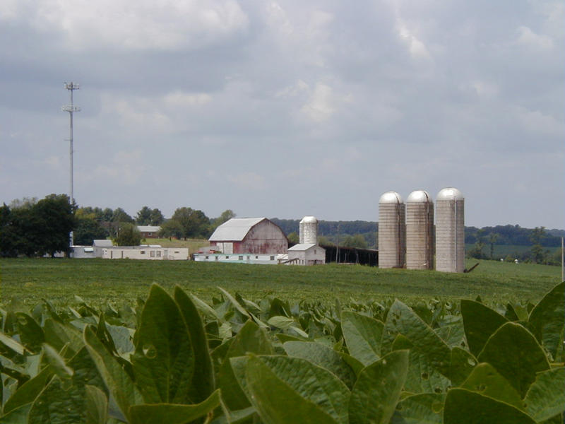 A field and a farm