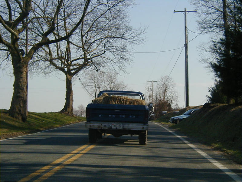 An old Ford pickup truck loaded with hay