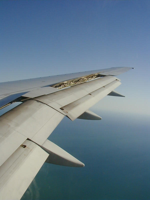 An airplane's wing at descent