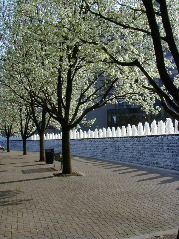 Fountains and decorative trees in downtown Lexington