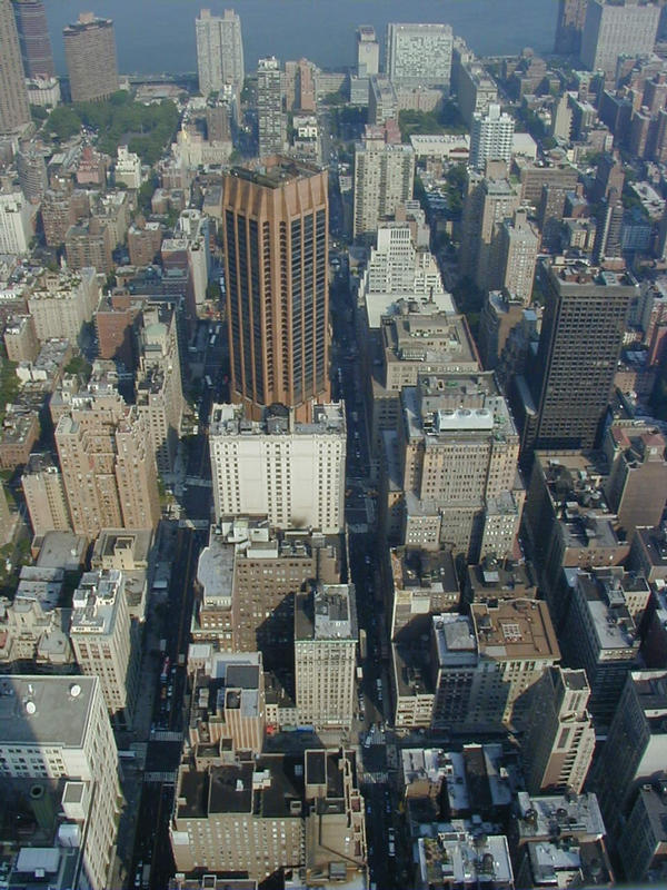 The eastern view from the Empire State Building