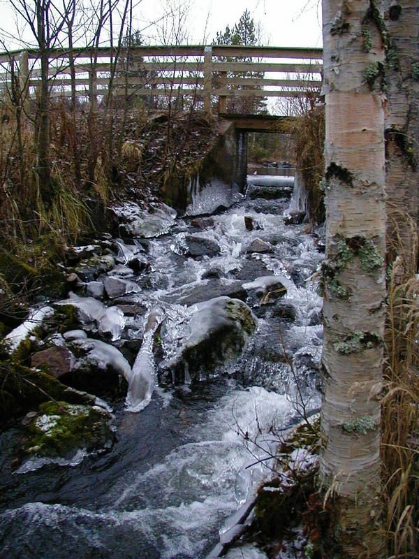 A frozen rapids