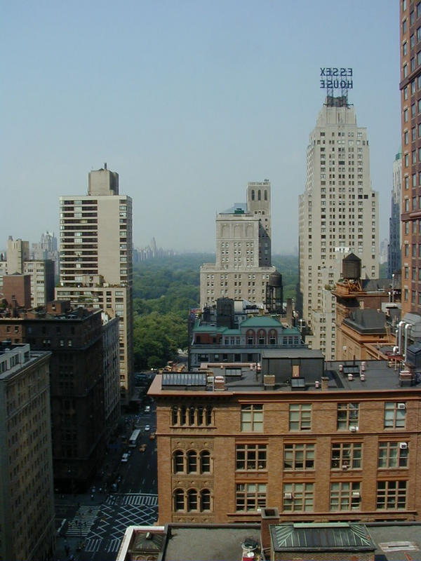 A view to Central Park from the hotel room window