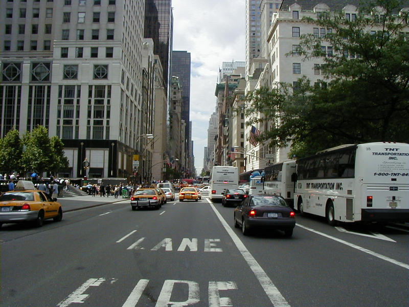 The fifth avenue at the Plaza hotel