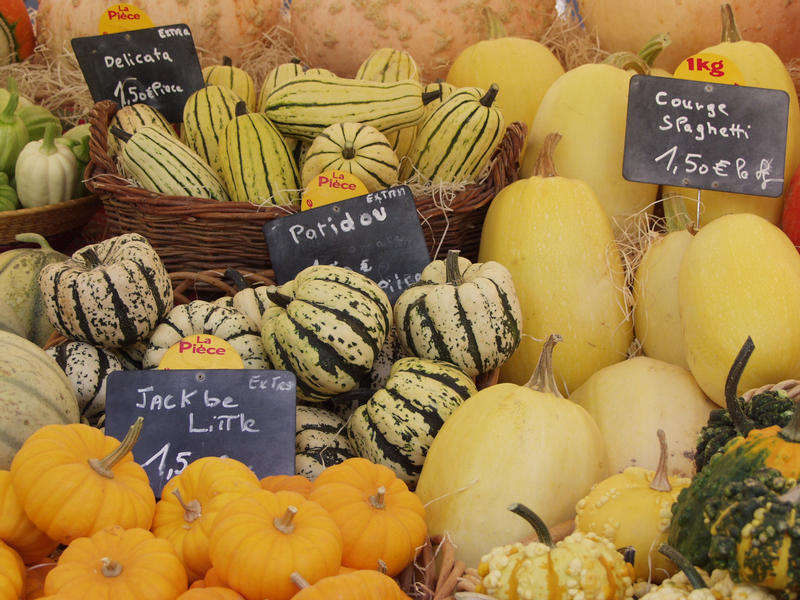 Pumpkins for sale