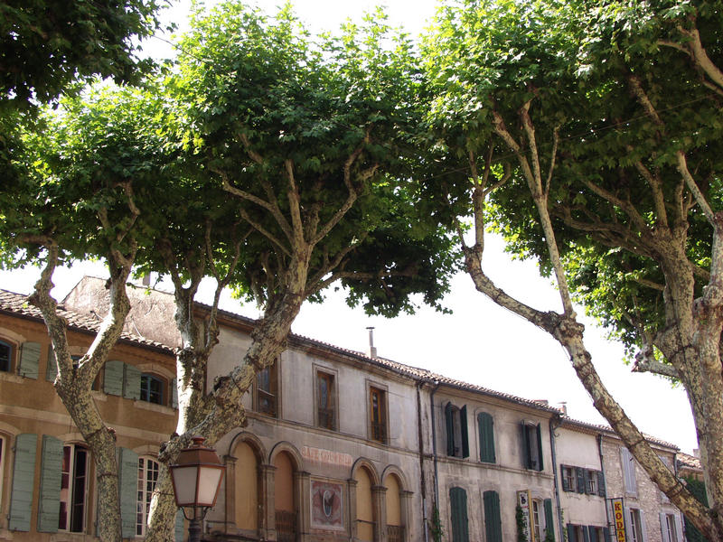 A street view