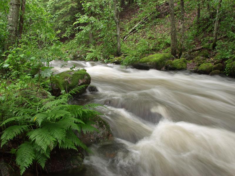 Palokoski rapids