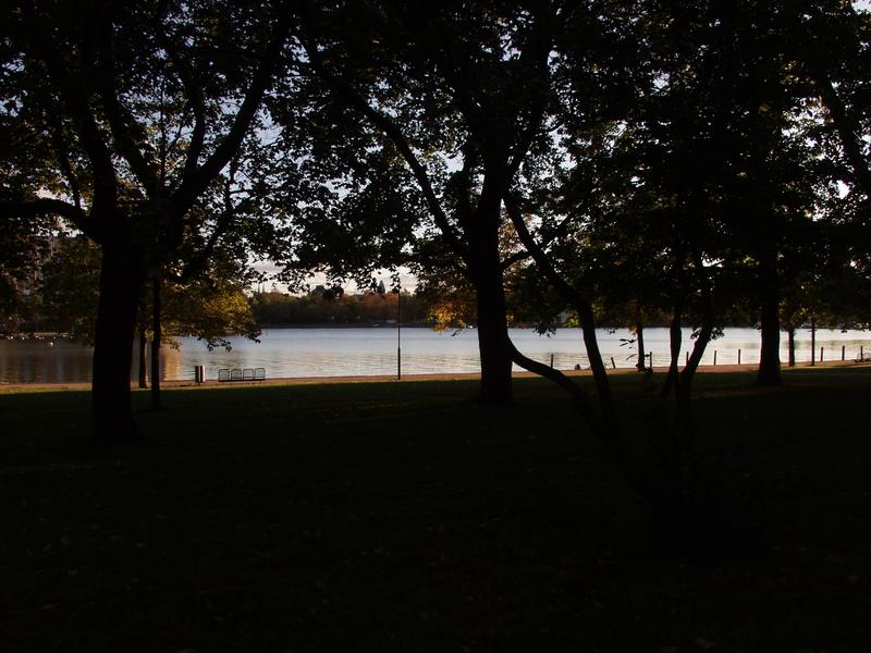 Elintarhanlahti bay at dusk