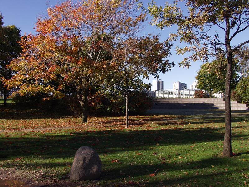 Tervasaari at fall, Merihaka in the background