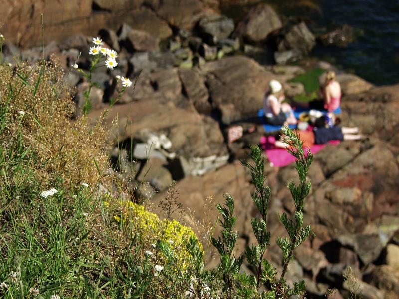 People sunbathing at Kustaanmiekka cliffs outside the embankments