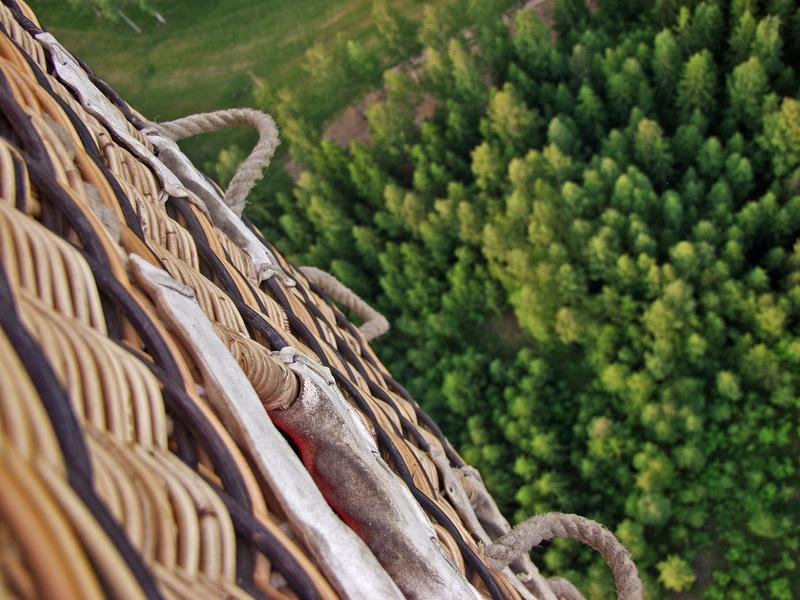 A hot air balloon's gondola and pine forest