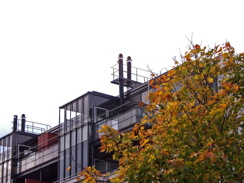 Penthouses and a tree in autumn