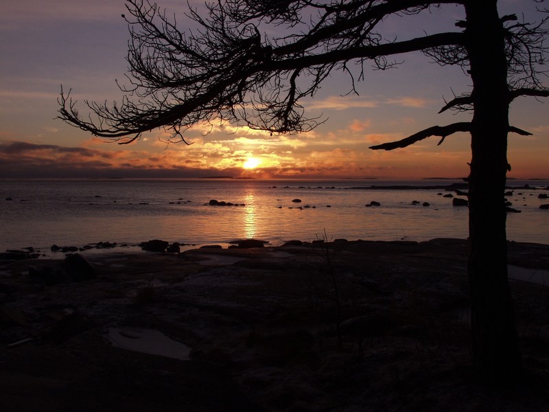 Auringonlasku Veijarivuoren puistossa