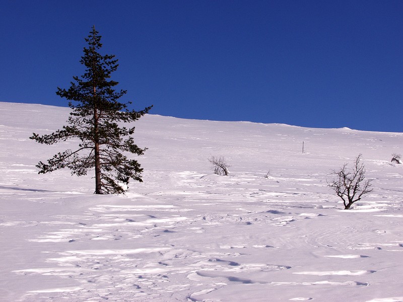 Vuomap's slope