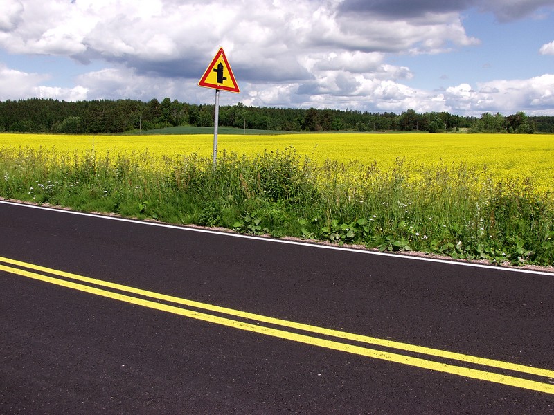 Road, roadsign and a field