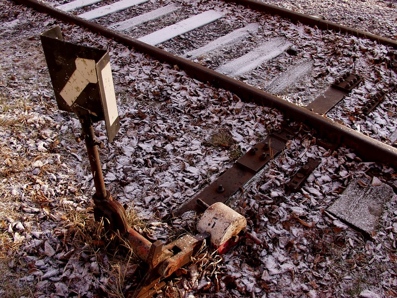 Rails and a rail switch