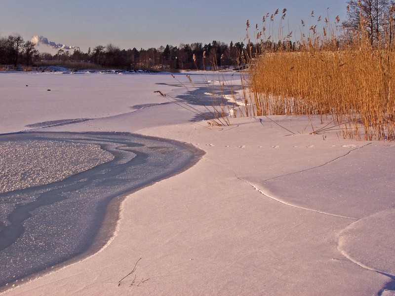 The beach at Seurasaari
