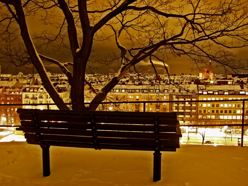 A bench and a view from the observatory hill