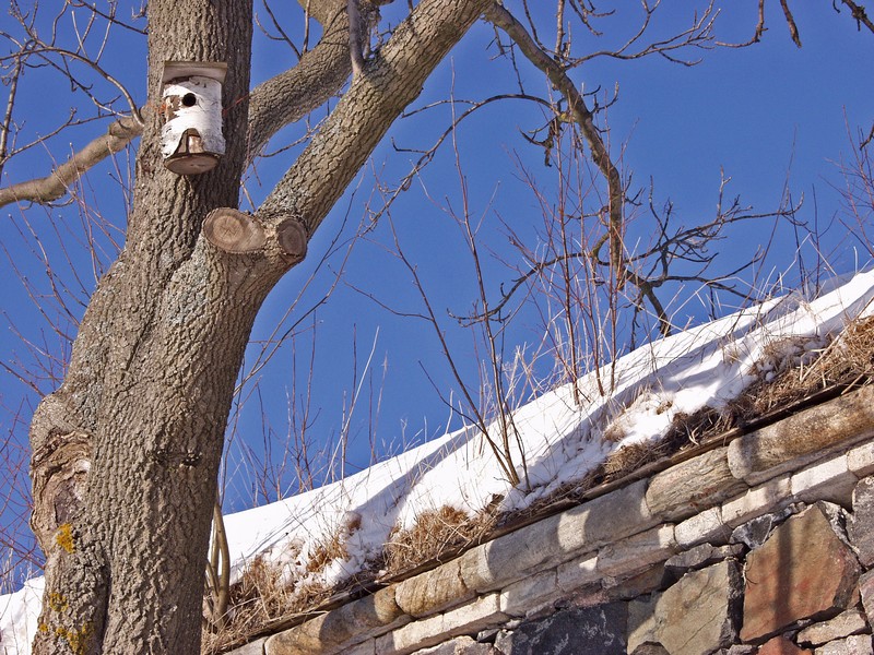 A birdhouse and an enbankment