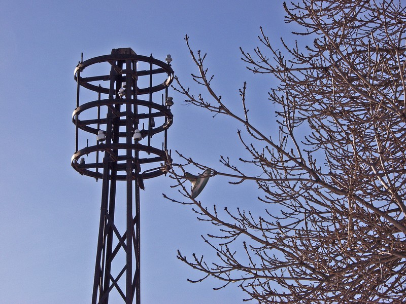 An old electric post
