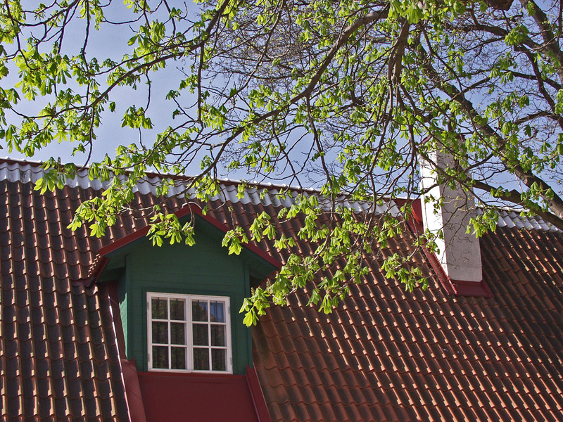 A roof and a tree