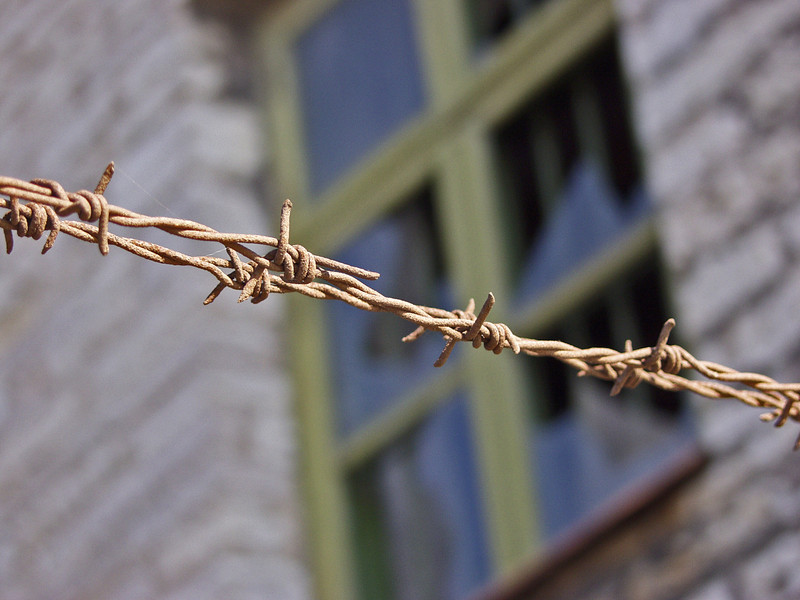 Barbed wire