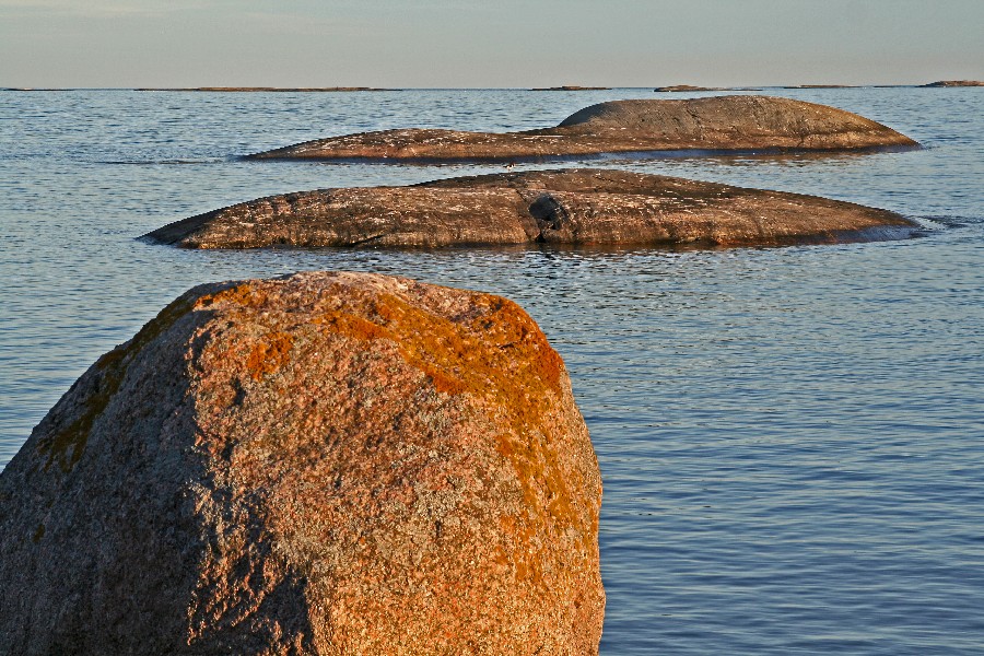 Reefs