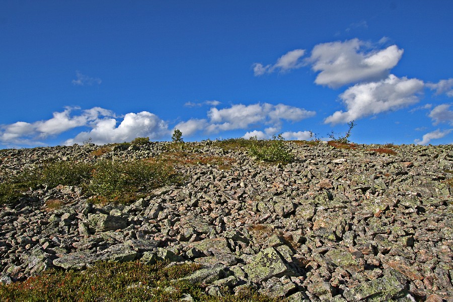 Stony soil at Pellisenp in Lemmenjoki national park