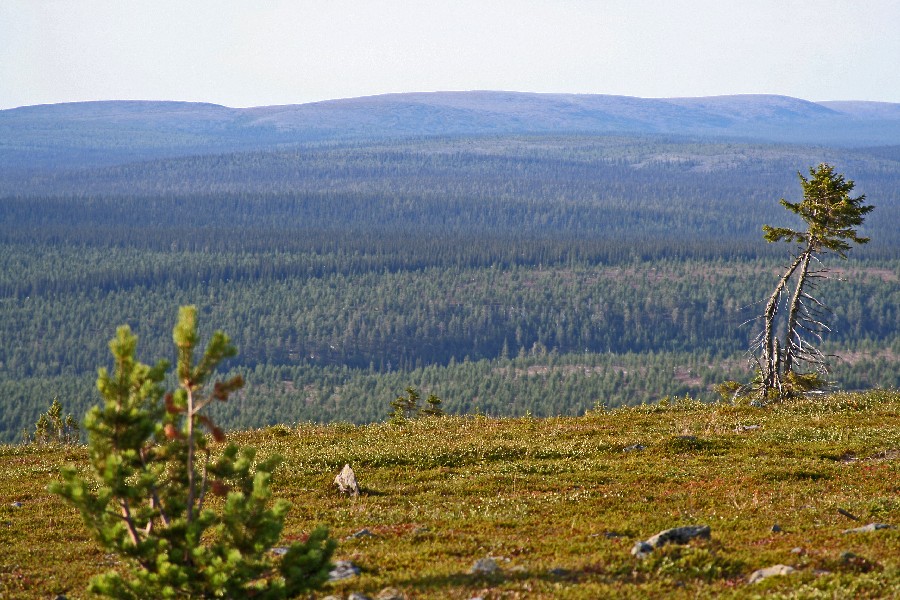 Scenery from Kuskoiva