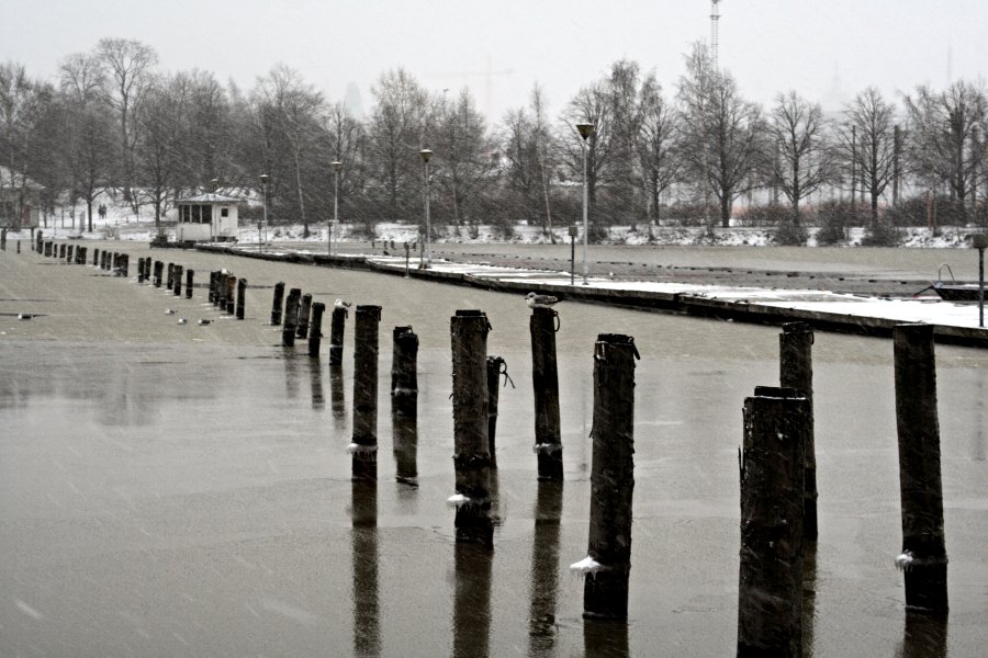 A boat platform and poles on a snowy afternoon